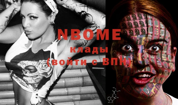 ПСИЛОЦИБИНОВЫЕ ГРИБЫ Новозыбков