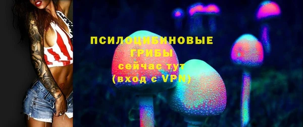 ПСИЛОЦИБИНОВЫЕ ГРИБЫ Новозыбков