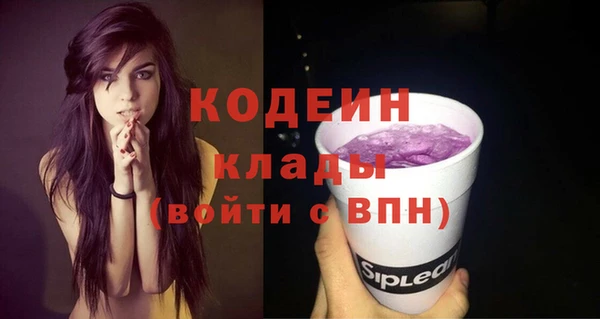 мдпв Няндома