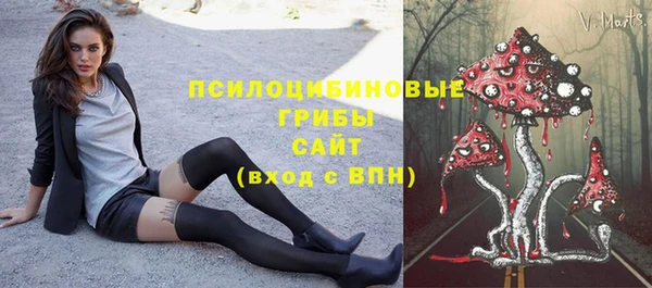мет Новодвинск