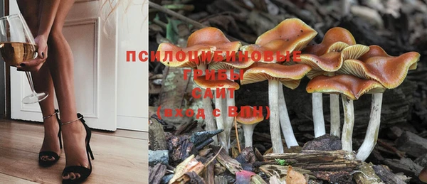 ГАЛЛЮЦИНОГЕННЫЕ ГРИБЫ Новокубанск