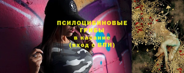 гашик Нягань