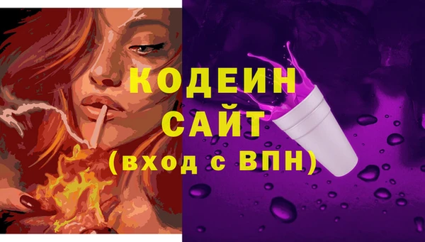 ПСИЛОЦИБИНОВЫЕ ГРИБЫ Новозыбков