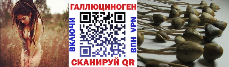 купить закладку  Апшеронск  Псилоцибиновые грибы ЛСД 