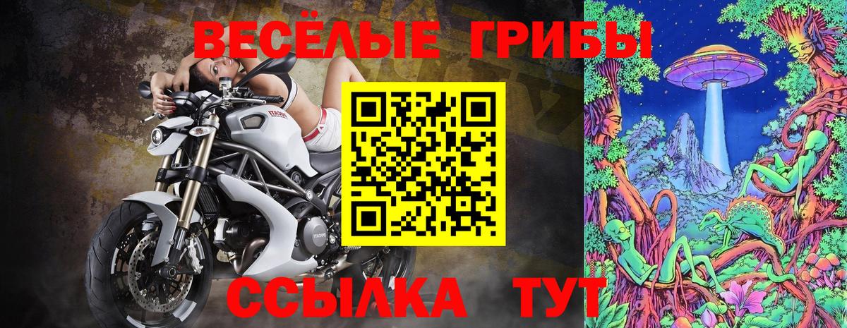 Галлюциногенные грибы прущие грибы  Псилоцибиновые грибы прущие грибы  Апшеронск 