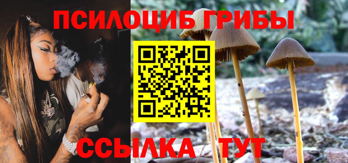 Апшеронск  Псилоцибиновые грибы мицелий  Вход с VPN  Псилоцибиновые грибы GOLDEN TEACHER 