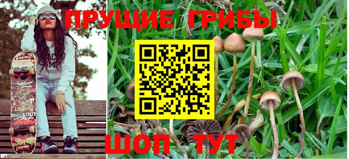 Псилоцибиновые грибы MAGIC MUSHROOMS Апшеронск